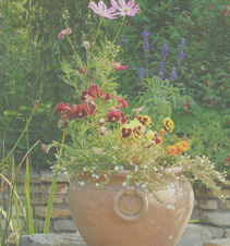 恶意发送验证短信